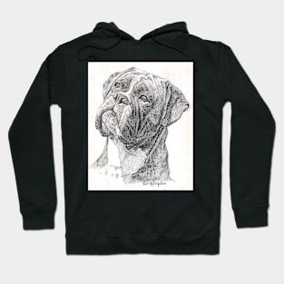 Boxer Hoodie